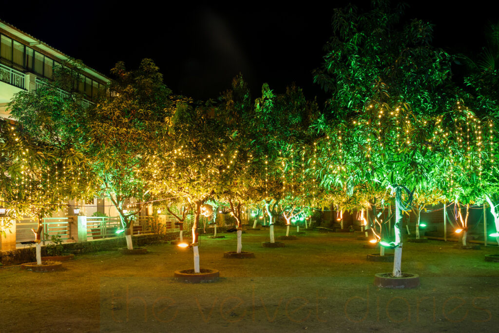 Lush green outdoor spaces photographed for resort marketing.